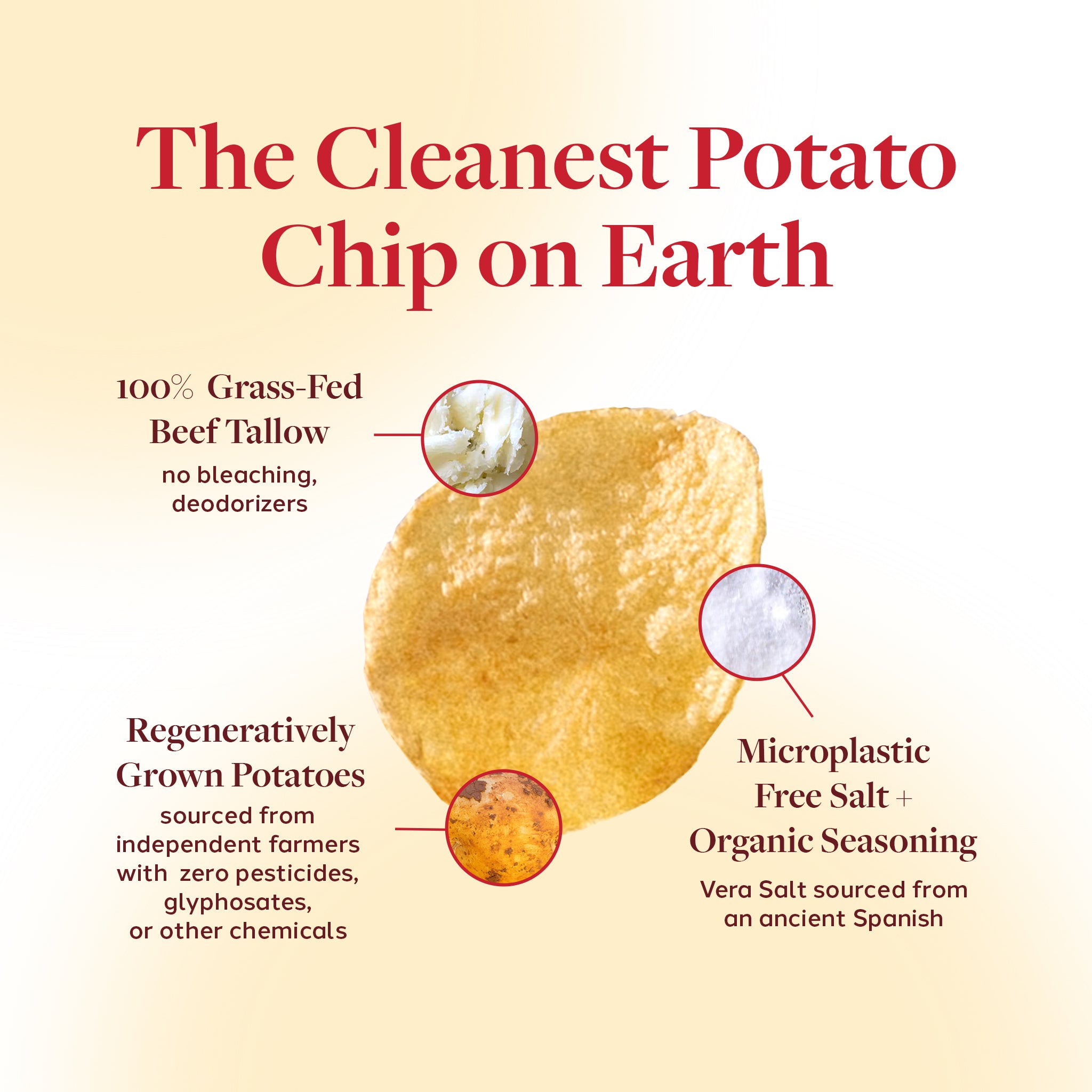 Rosie's Chips – Artisan Kettle-Cooked Potato Chips (2-Pack)