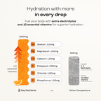 Electrolyte Recovery Plus Powder – Sugar-Free Hydration Formula