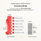Electrolyte Recovery Plus Powder – Sugar-Free Hydration Formula