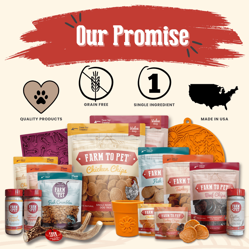 Chicken Chips for Dogs – All-Natural Single-Ingredient Treats