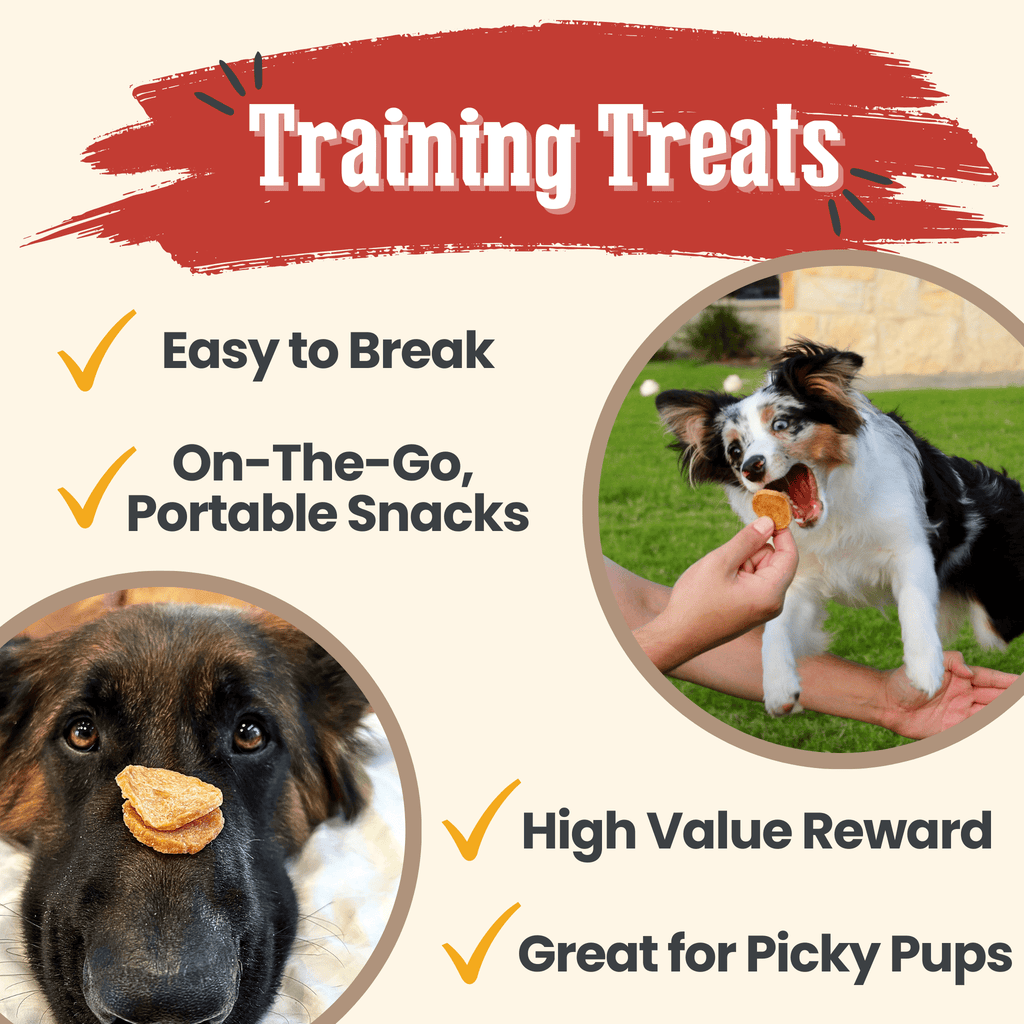 Chicken Chips for Dogs – All-Natural Single-Ingredient Treats