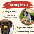 Chicken Chips for Dogs – All-Natural Single-Ingredient Treats