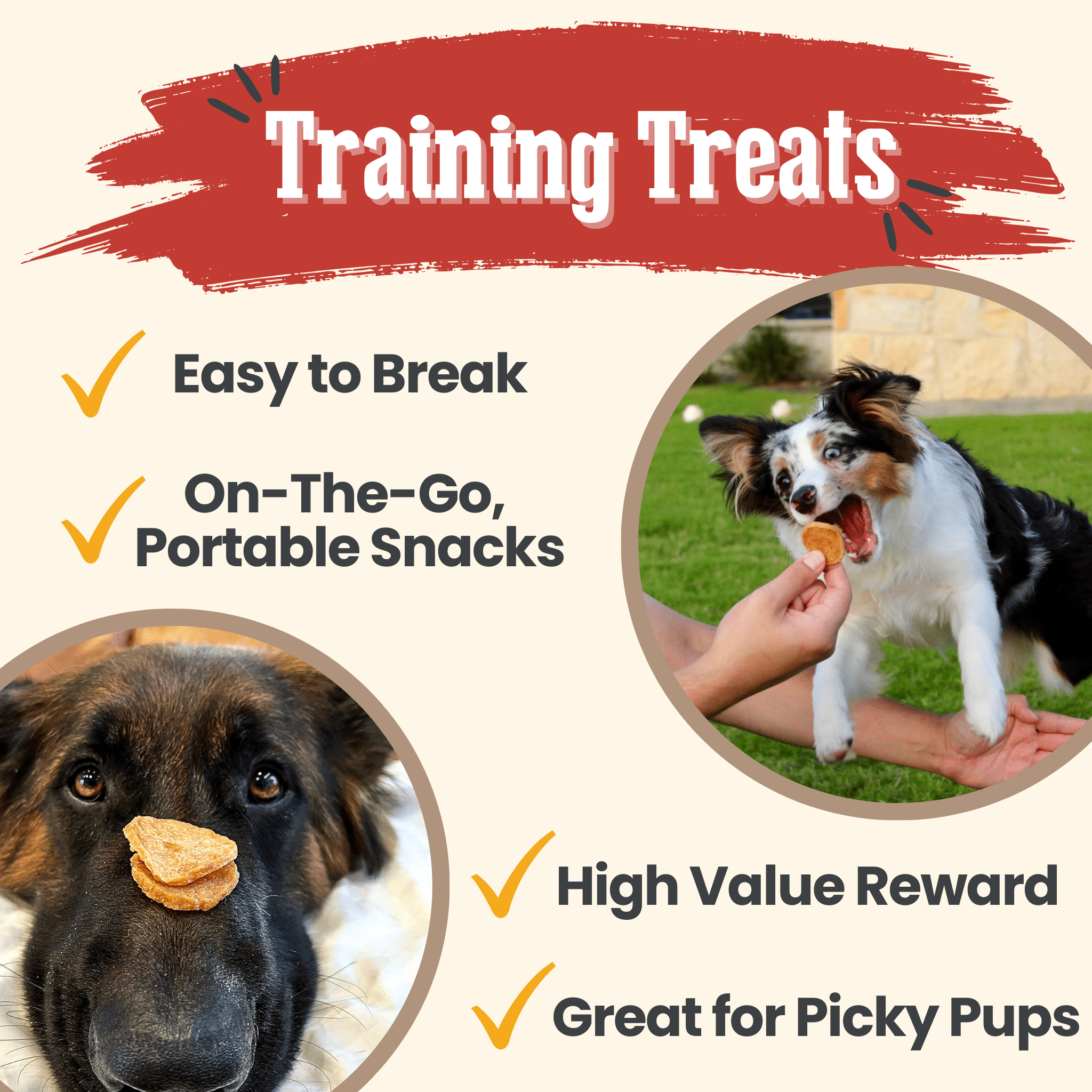 Chicken Chips for Dogs – All-Natural Single-Ingredient Treats