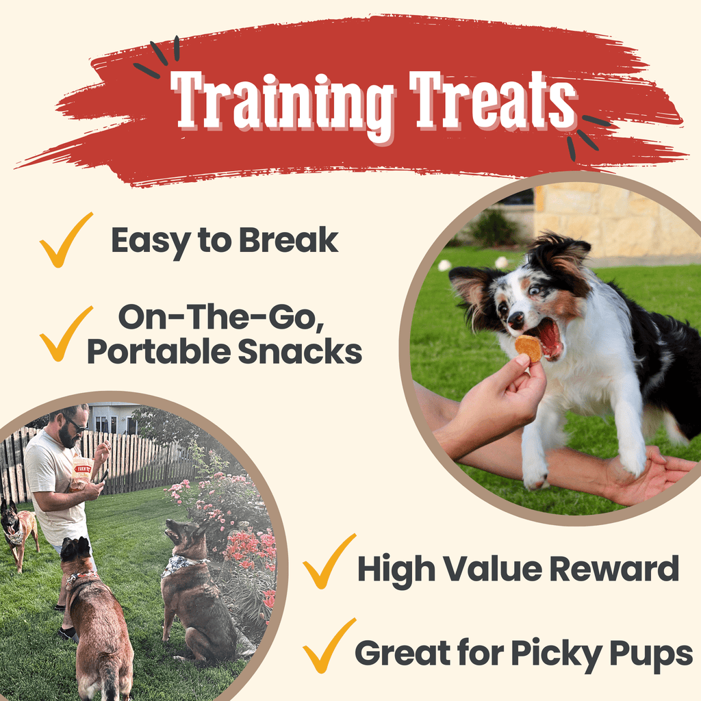 Chicken Chips for Dogs – All-Natural Single-Ingredient Treats