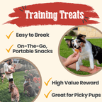 Chicken Chips for Dogs – All-Natural Single-Ingredient Treats