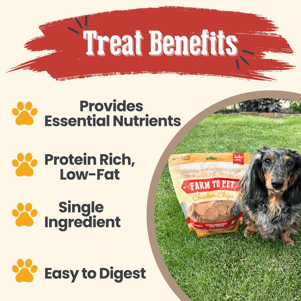 Chicken Chips for Dogs – All-Natural Single-Ingredient Treats