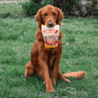 Chicken Chips for Dogs – All-Natural Single-Ingredient Treats