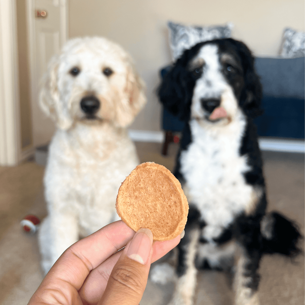 Chicken Chips for Dogs – All-Natural Single-Ingredient Treats