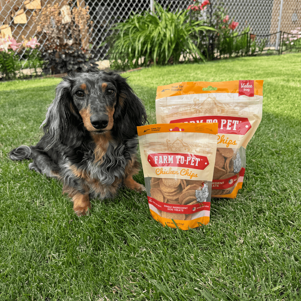 Chicken Chips for Dogs – All-Natural Single-Ingredient Treats