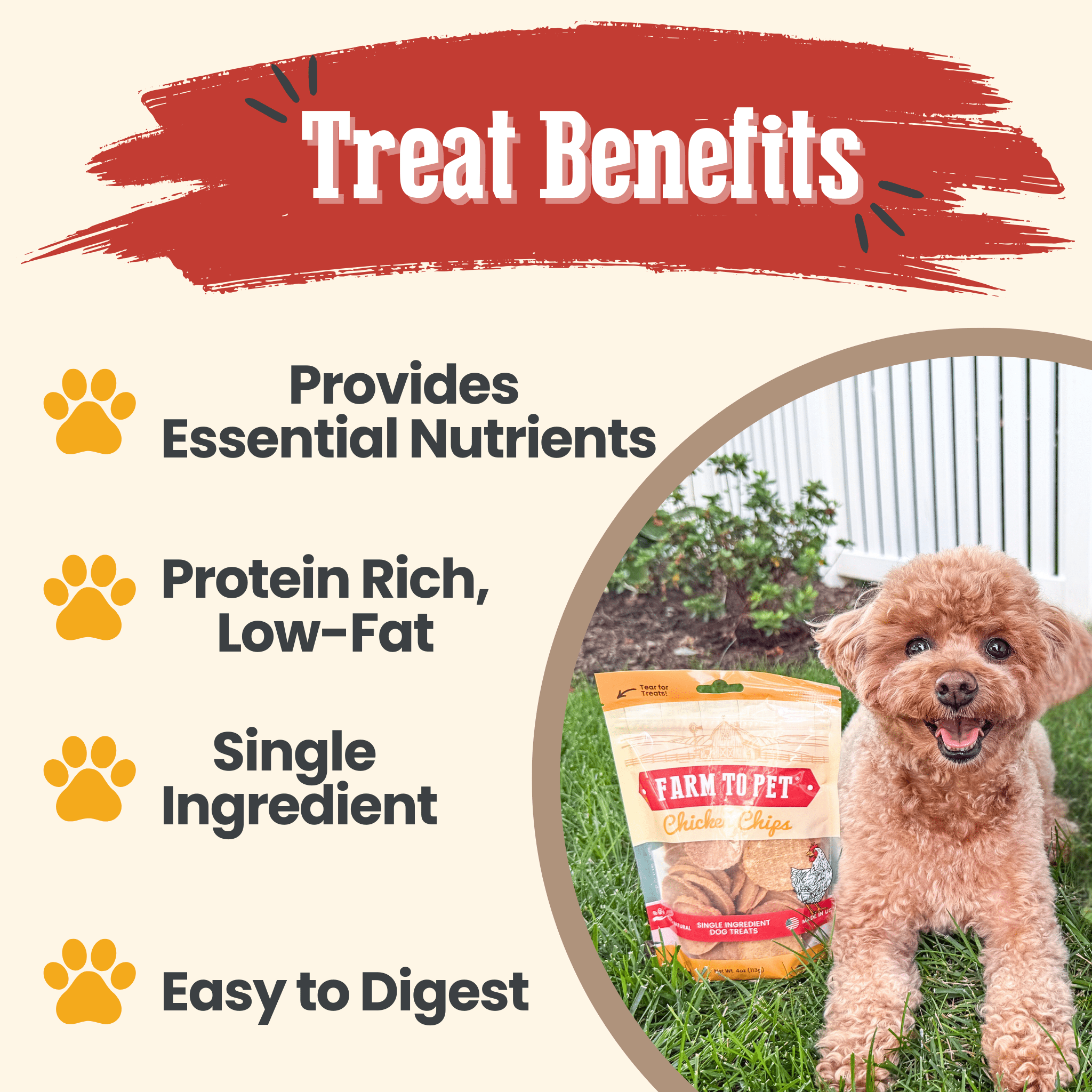 Chicken Chips for Dogs – All-Natural Single-Ingredient Treats
