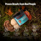 Organic Mushroom Extract Powder Blend – Daily Functional Mushroom Mix