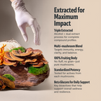 Organic Mushroom Extract Powder Blend – Daily Functional Mushroom Mix