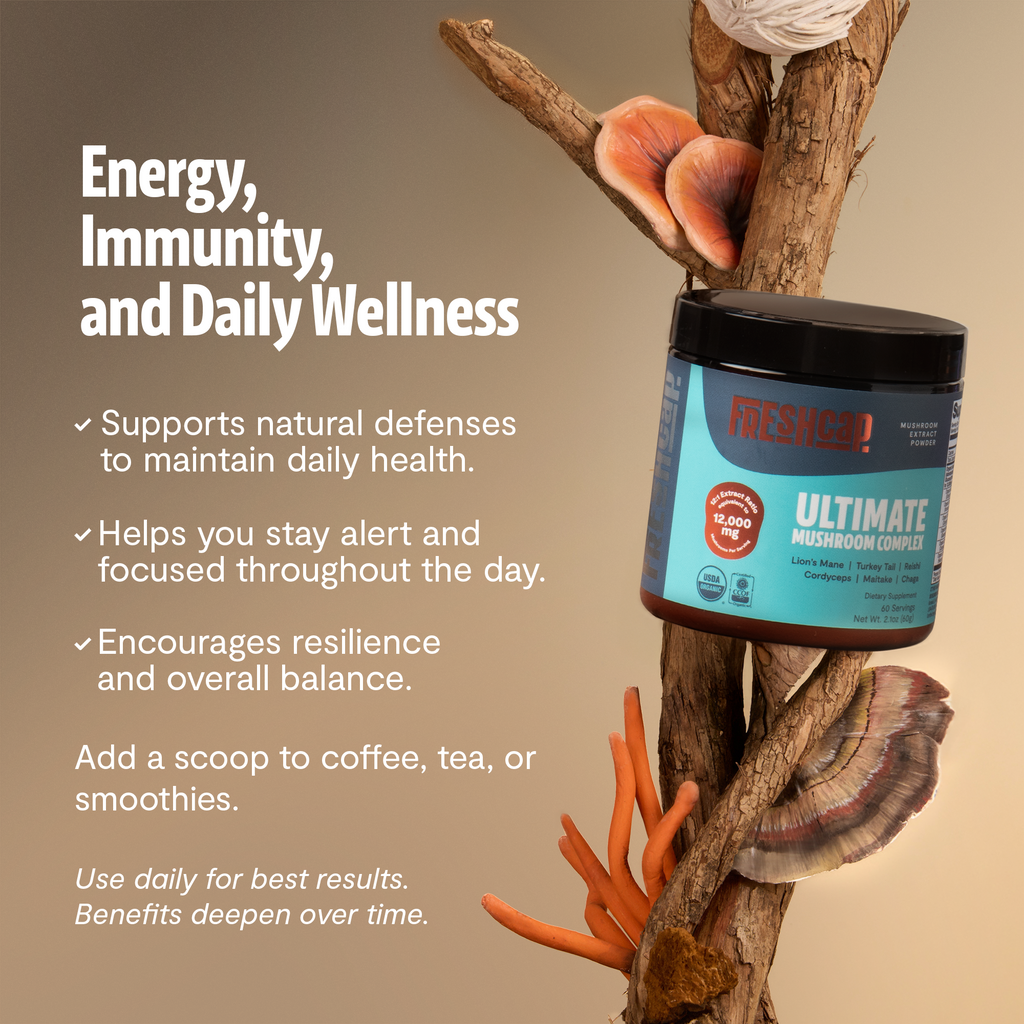 Organic Mushroom Extract Powder Blend – Daily Functional Mushroom Mix