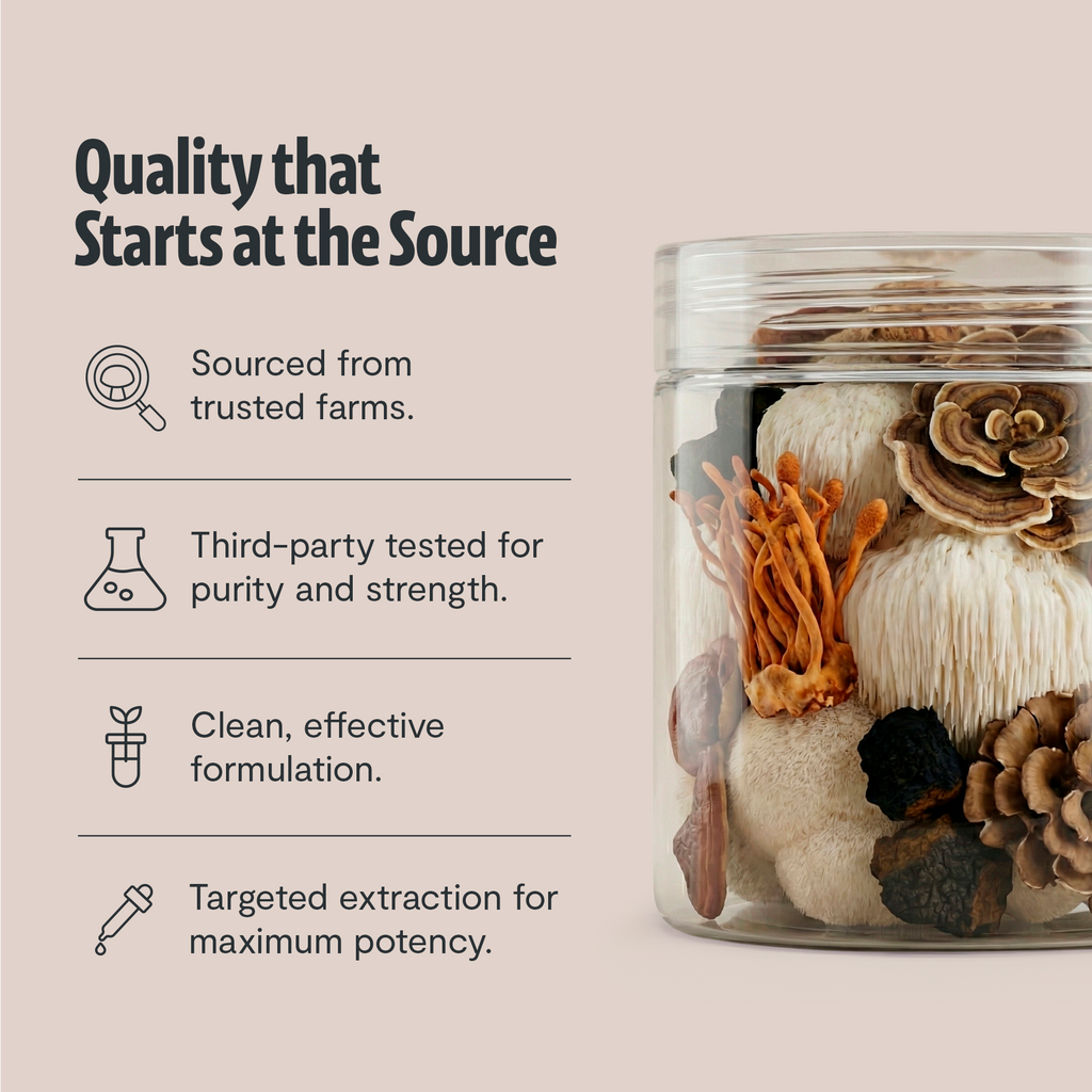 Organic Mushroom Extract Powder Blend – Daily Functional Mushroom Mix
