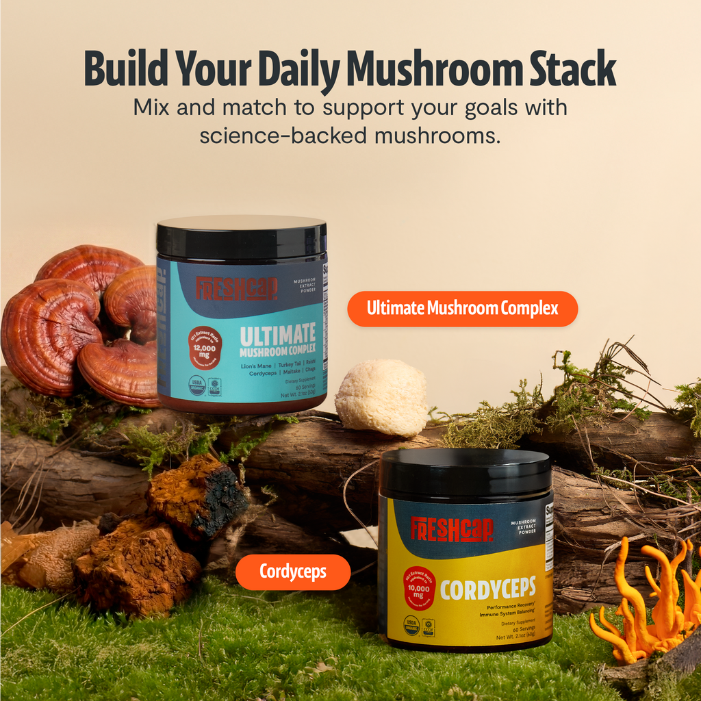 Organic Mushroom Extract Powder Blend – Daily Functional Mushroom Mix