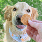 Chicken Chips for Dogs – All-Natural Single-Ingredient Treats