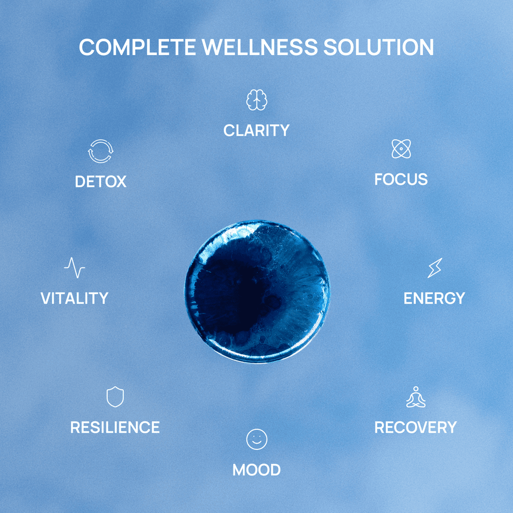 Meraki Blu USP Grade Methylene Blue 150mg – Cognitive & Mitochondrial Support
