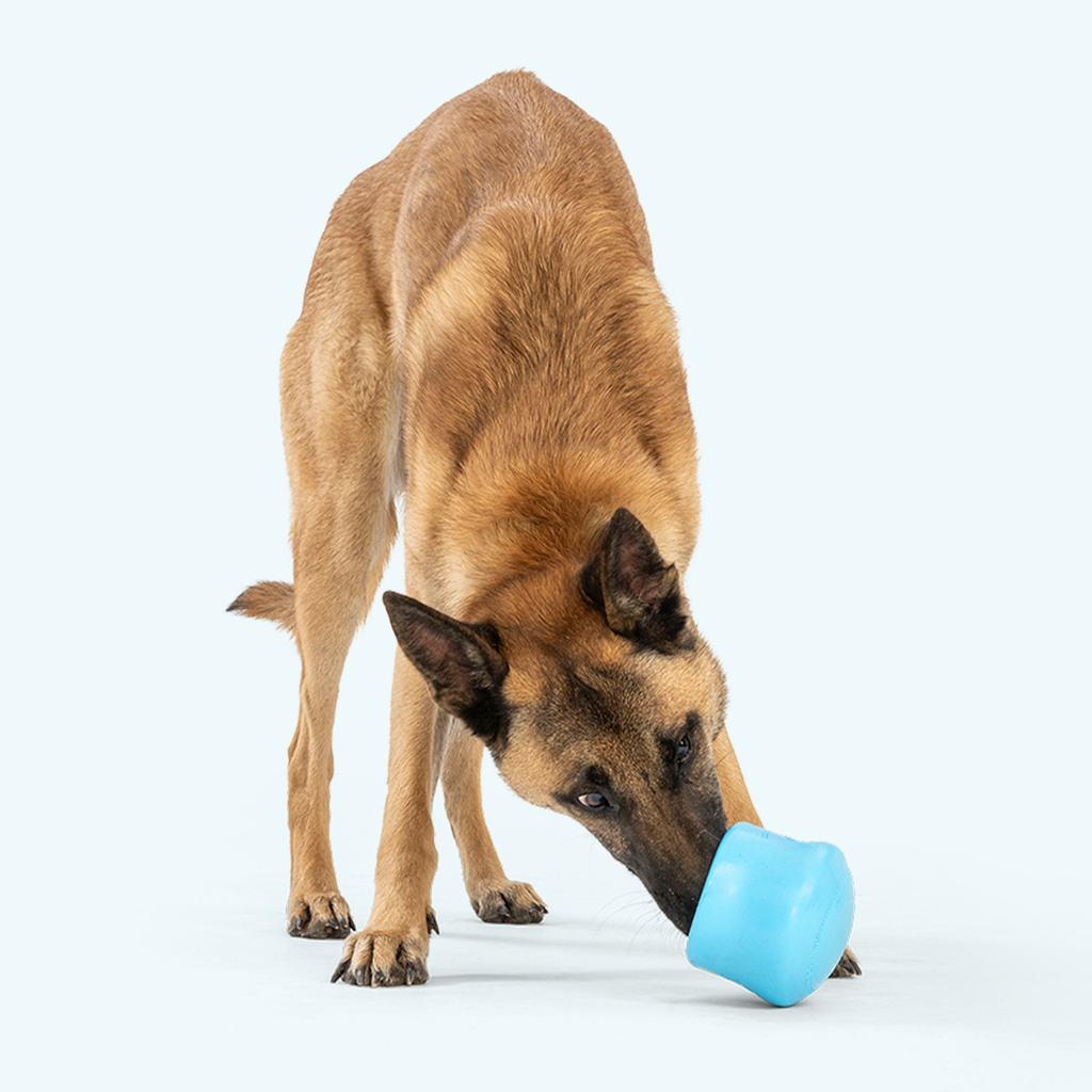 Toppl – Interactive Dog Enrichment Feeder & Treat Toy