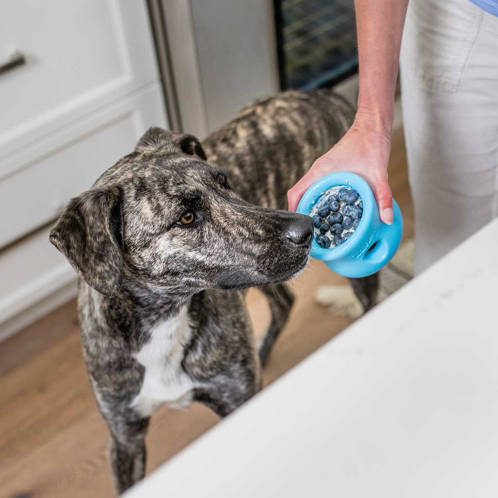 Toppl – Interactive Dog Enrichment Feeder & Treat Toy