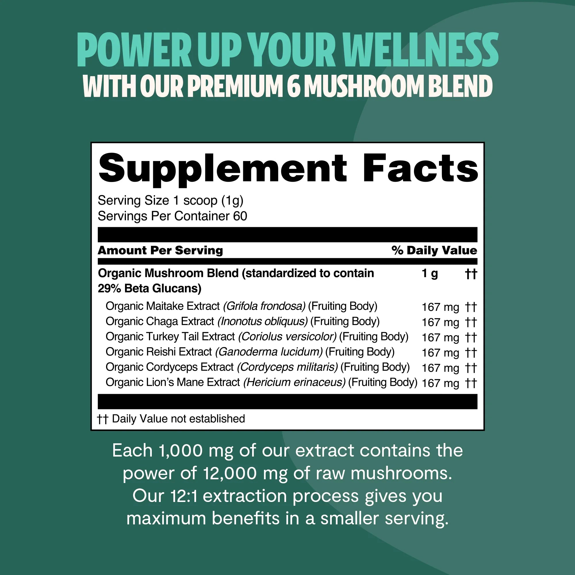 Organic Mushroom Extract Powder Blend – Daily Functional Mushroom Mix