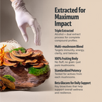 Organic Mushroom Complex Capsules – 10-Mushroom Immune & Brain Support