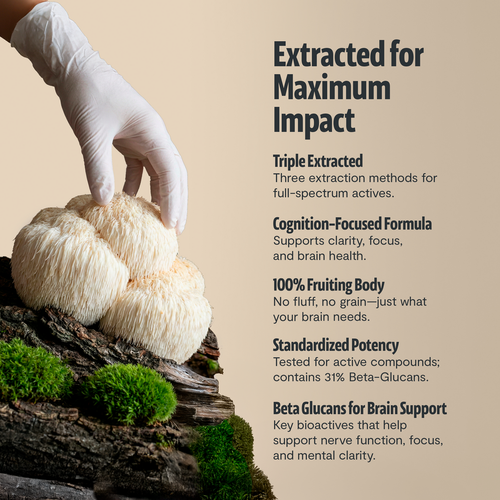 Organic Mushroom Complex Capsules – 10-Mushroom Immune & Brain Support