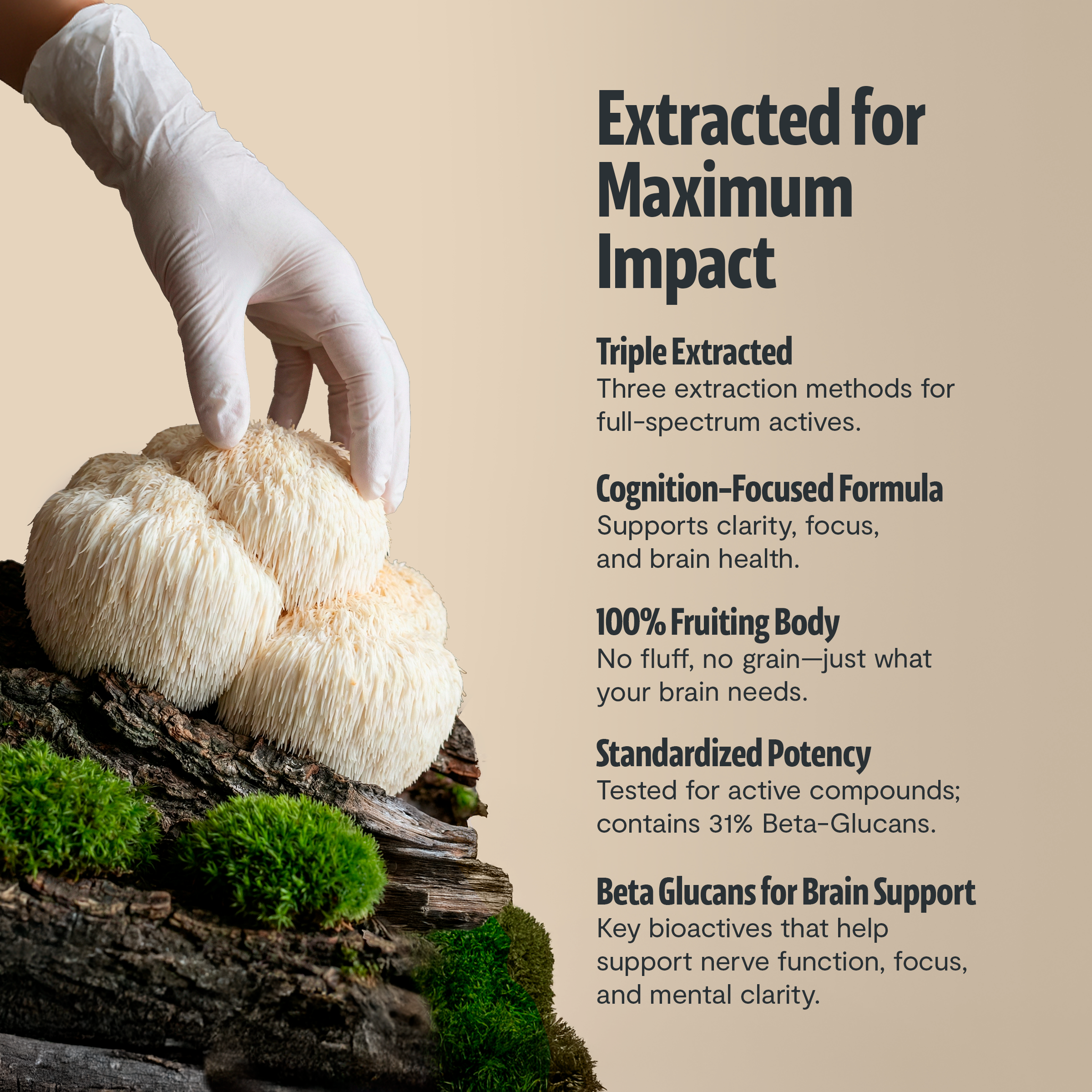 Organic Mushroom Complex Capsules – 10-Mushroom Immune & Brain Support