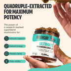 Organic Mushroom Extract Powder Blend – Daily Functional Mushroom Mix
