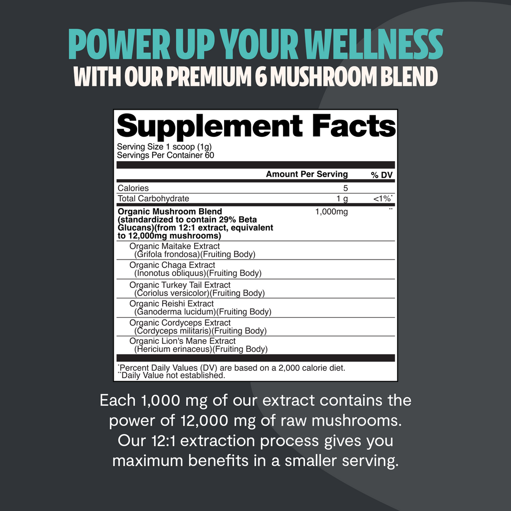 Organic Mushroom Extract Powder Blend – Daily Functional Mushroom Mix