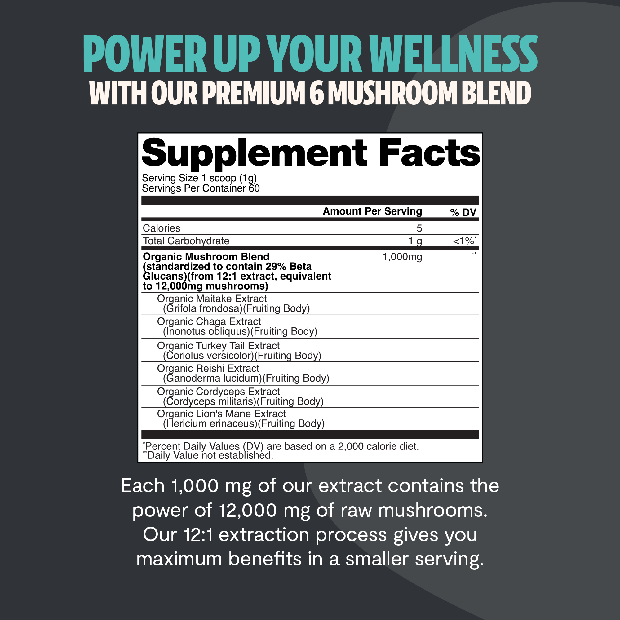 Organic Mushroom Extract Powder Blend – Daily Functional Mushroom Mix