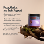 Organic Mushroom Complex Capsules – 10-Mushroom Immune & Brain Support