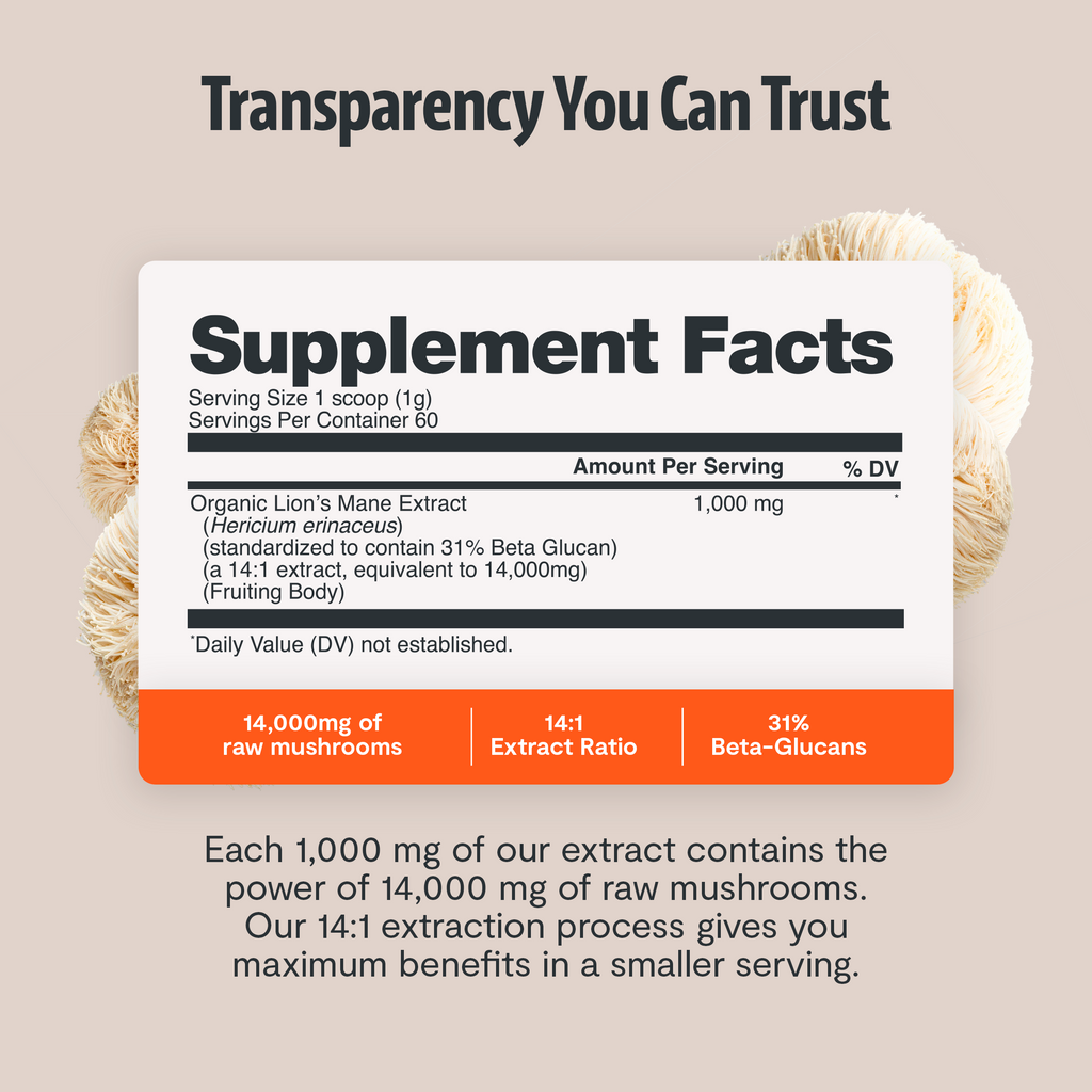 Organic Mushroom Complex Capsules – 10-Mushroom Immune & Brain Support