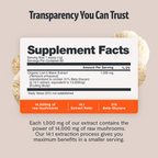 Organic Mushroom Complex Capsules – 10-Mushroom Immune & Brain Support