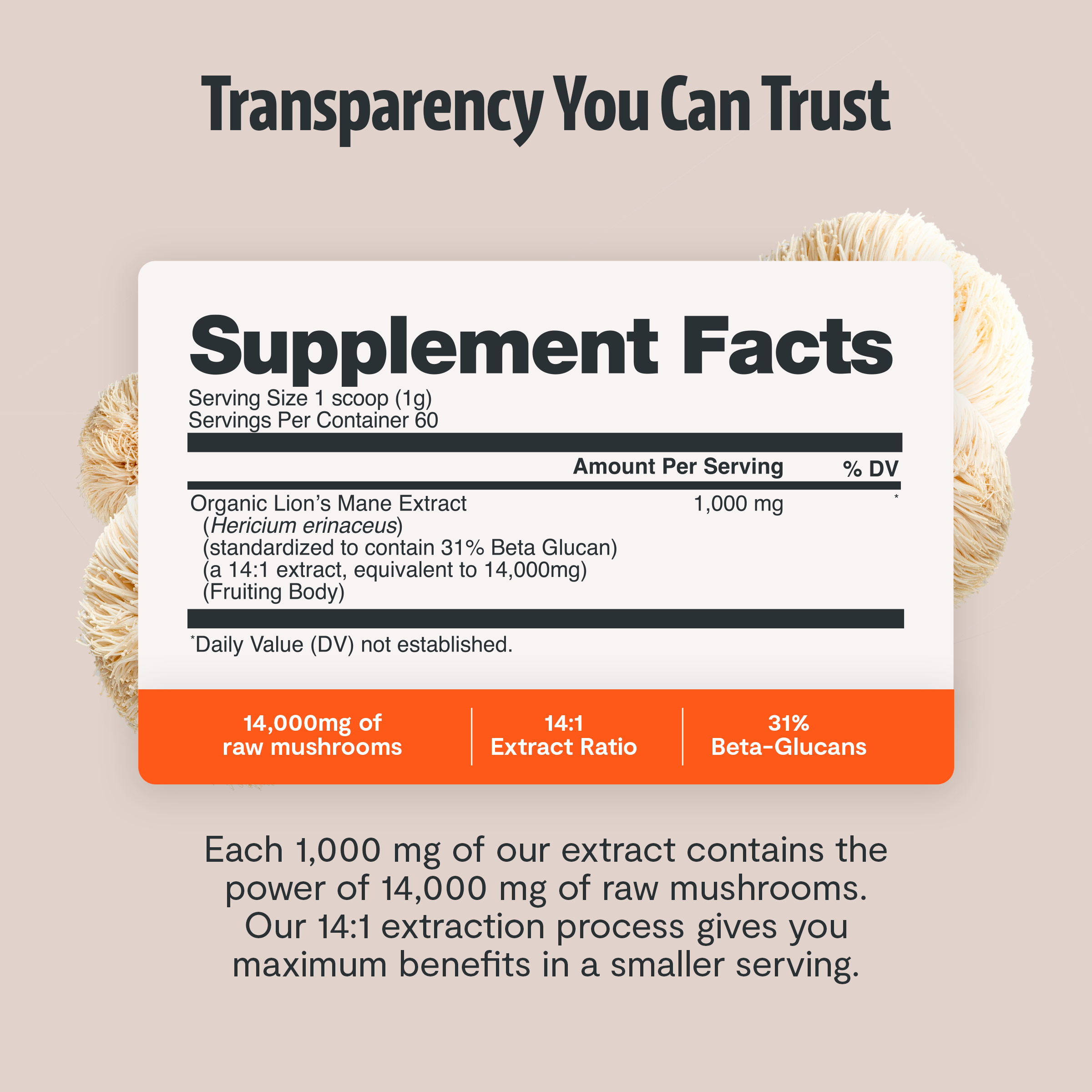 Organic Mushroom Complex Capsules – 10-Mushroom Immune & Brain Support