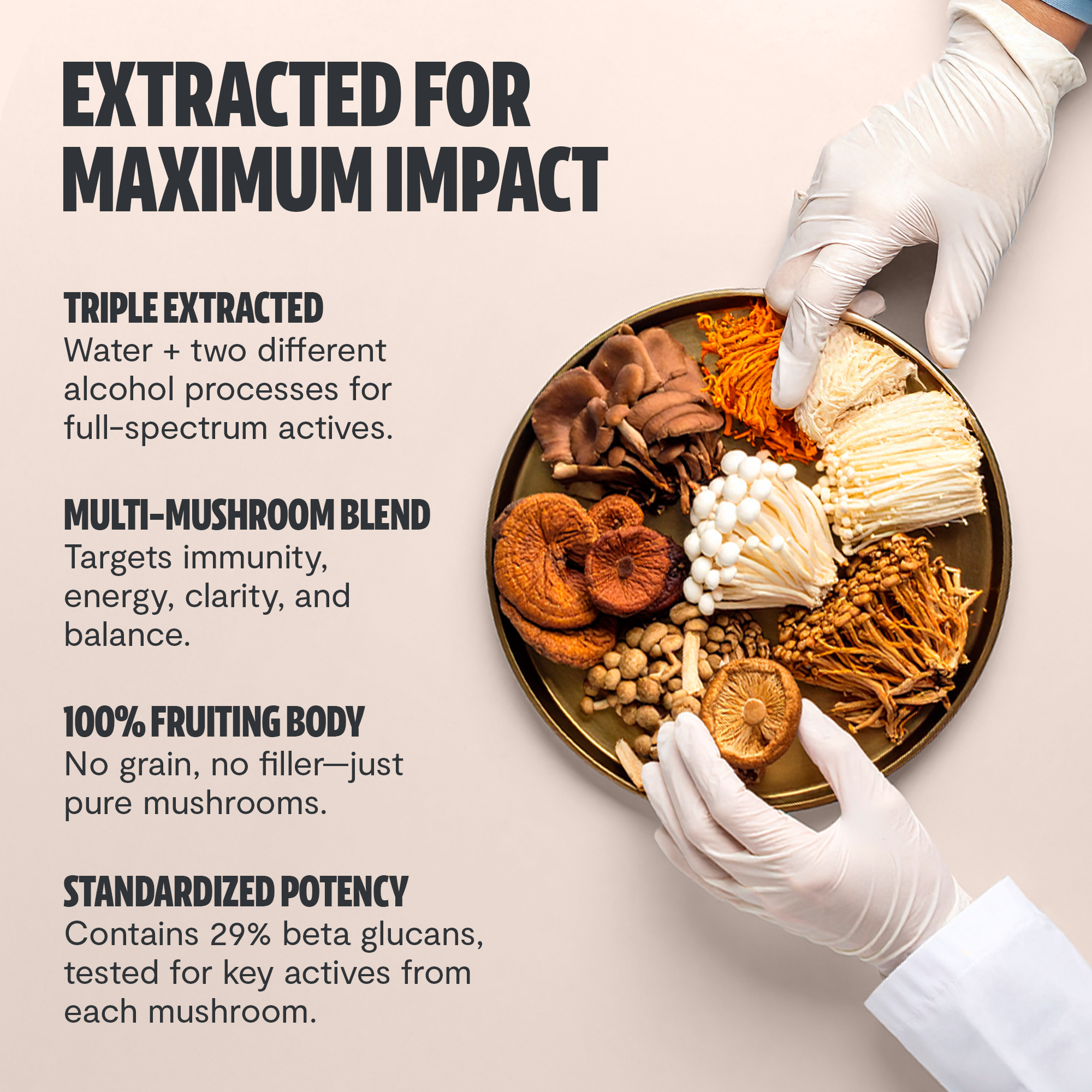 Organic Mushroom Extract Powder Blend – Daily Functional Mushroom Mix