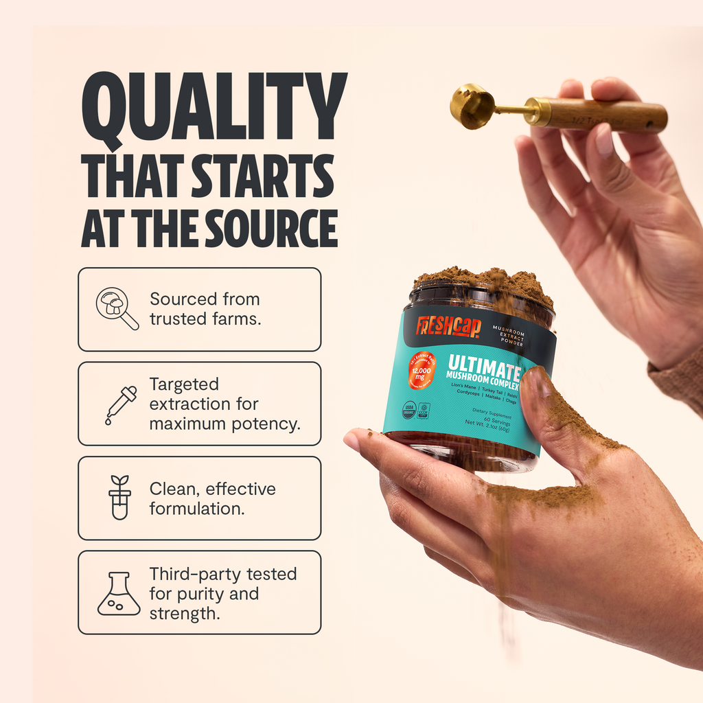 Organic Mushroom Extract Powder Blend – Daily Functional Mushroom Mix