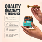 Organic Mushroom Extract Powder Blend – Daily Functional Mushroom Mix