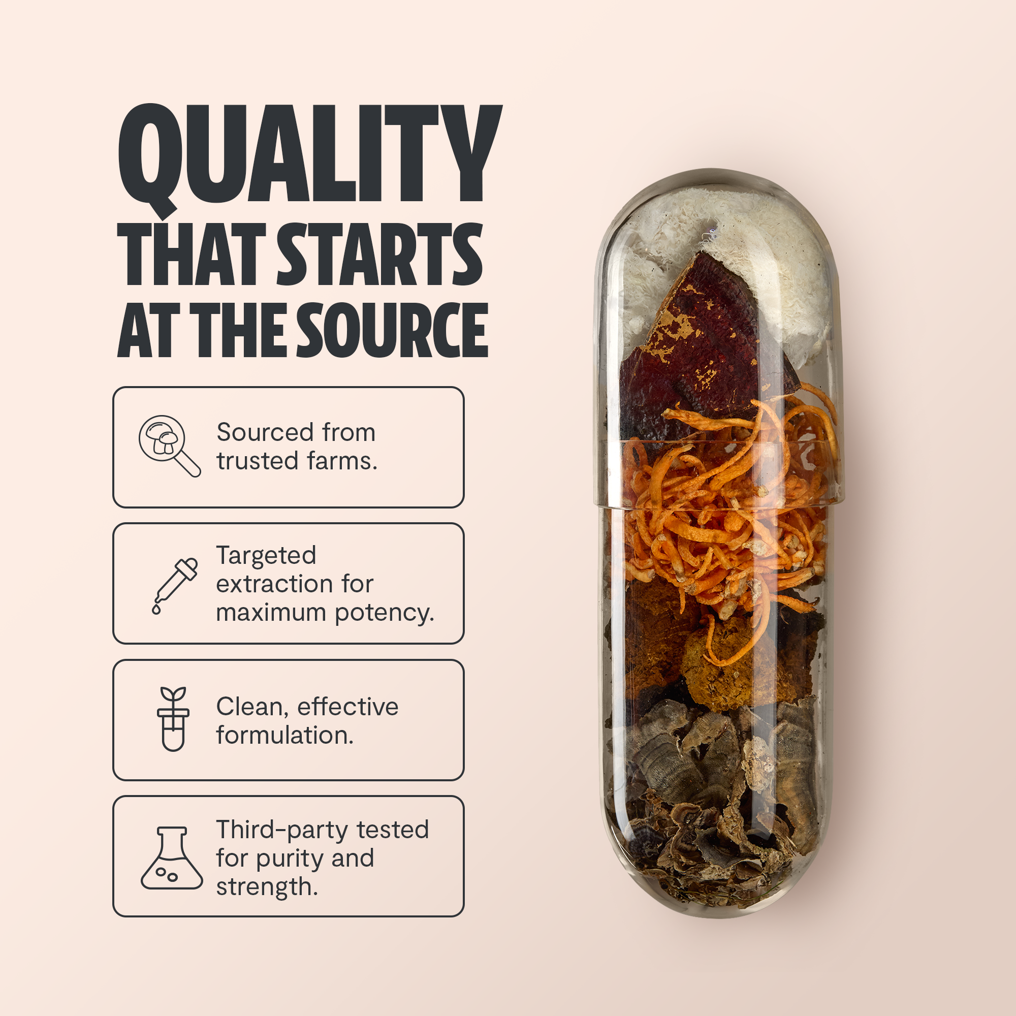 Organic Mushroom Complex Capsules – 10-Mushroom Immune & Brain Support