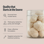 Organic Mushroom Complex Capsules – 10-Mushroom Immune & Brain Support