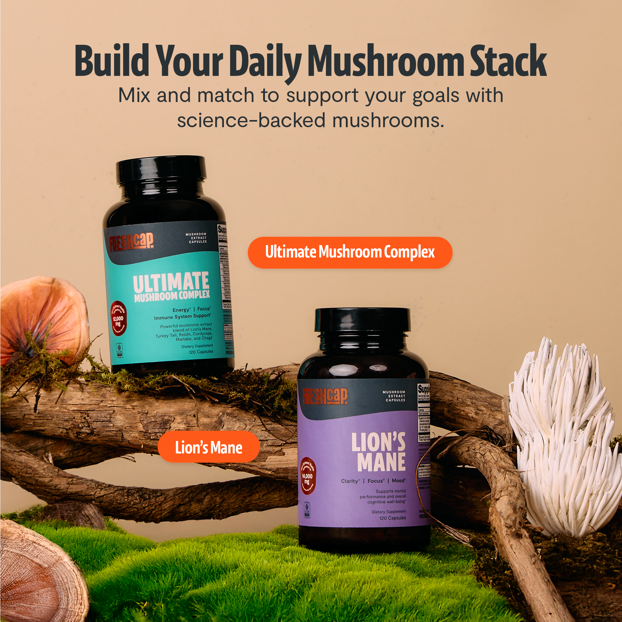 Organic Mushroom Complex Capsules – 10-Mushroom Immune & Brain Support