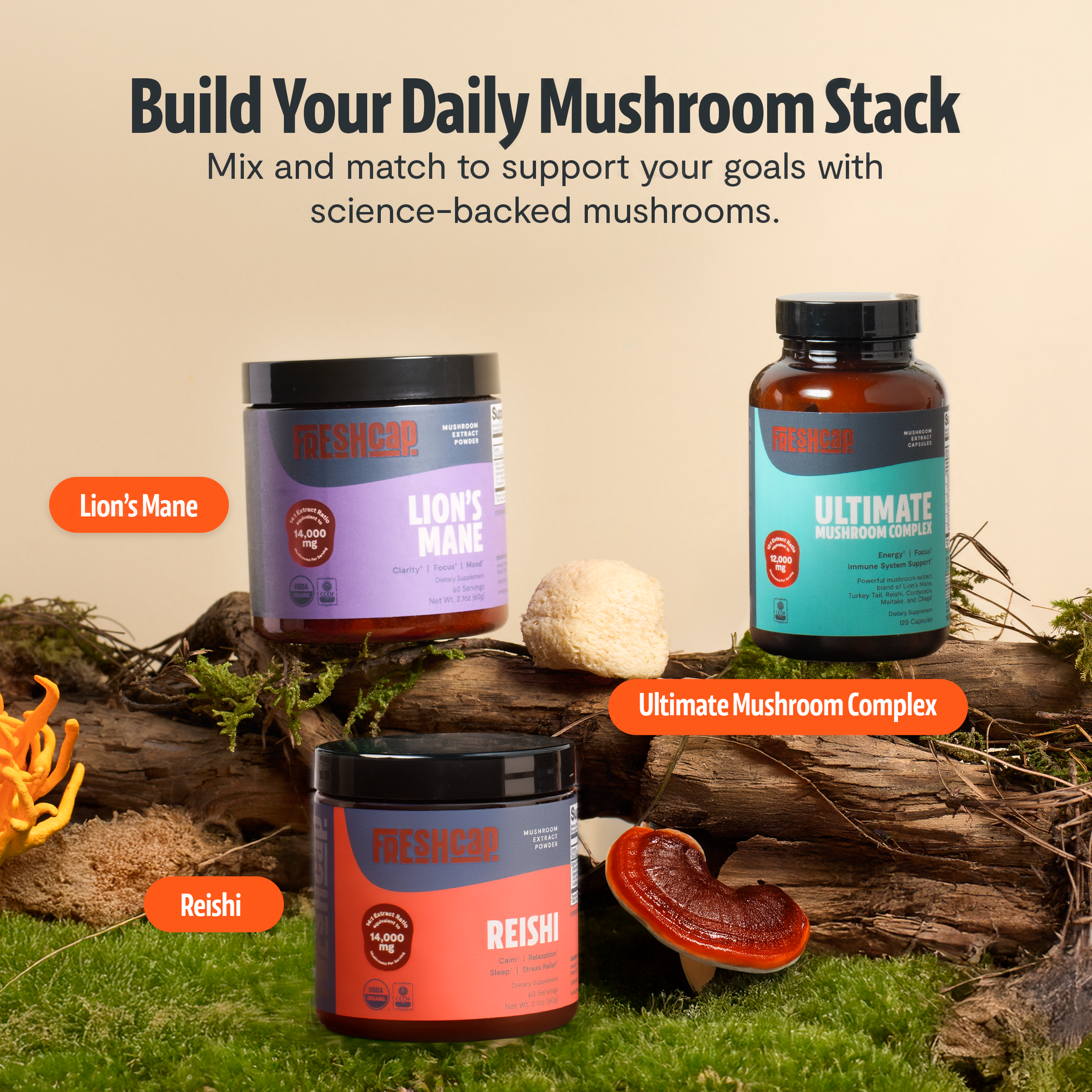 Organic Mushroom Complex Capsules – 10-Mushroom Immune & Brain Support